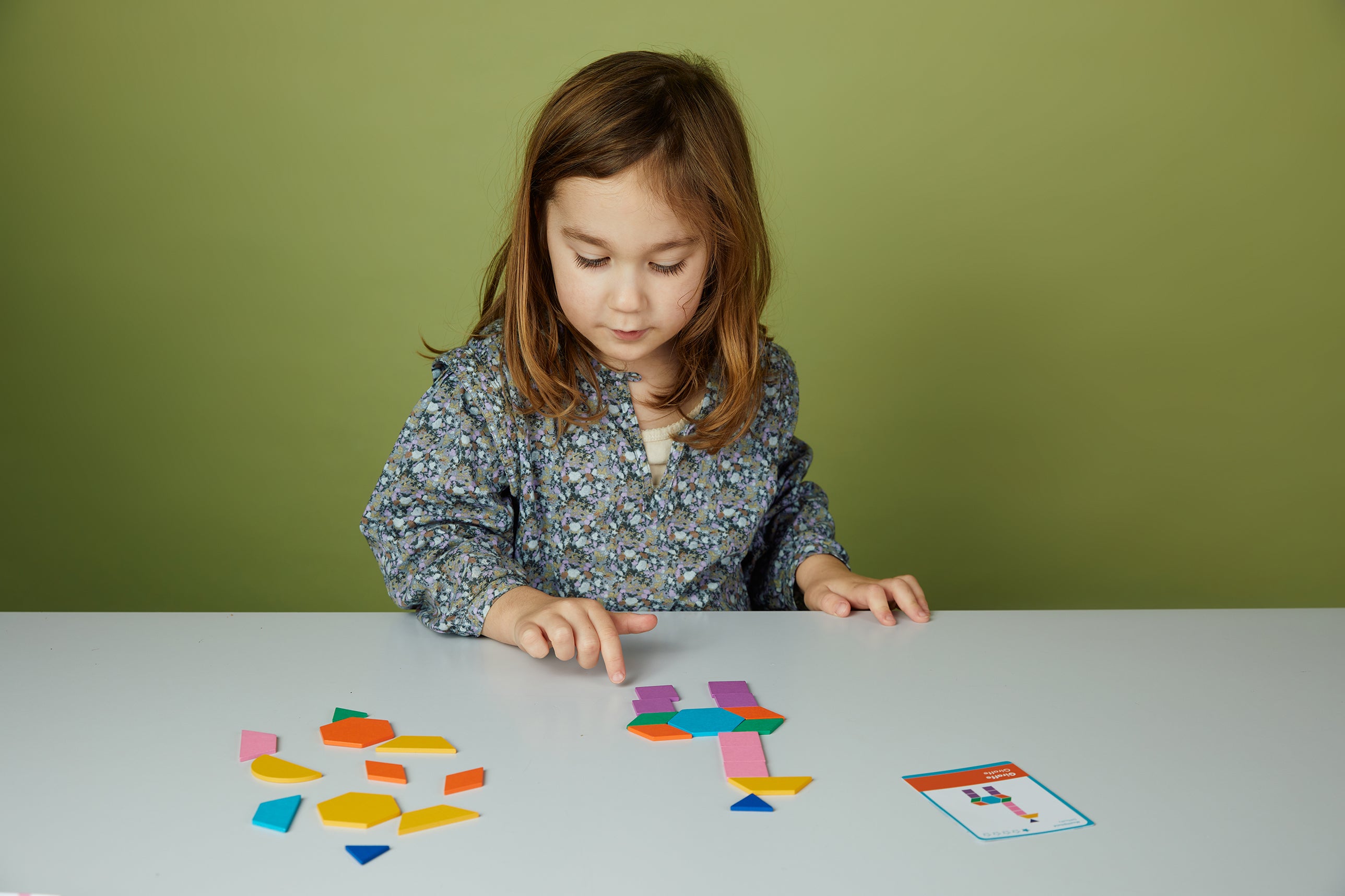 Puzzle des Motifs d'animaux géniaux